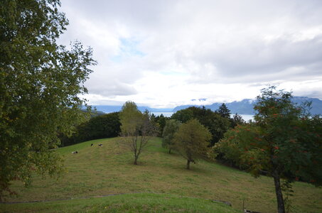 paysage de chez nous, DSC_0022
