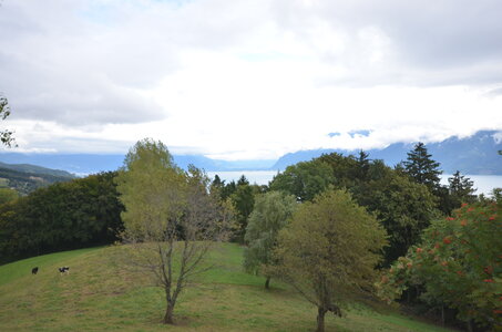 paysage de chez nous, DSC_0023