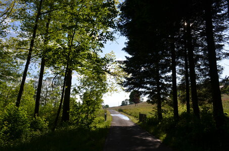 paysage de chez nous, DSC_0037