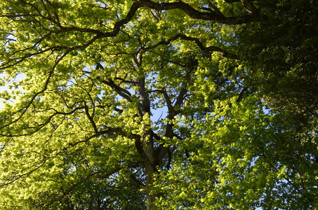 paysage de chez nous, DSC_0051
