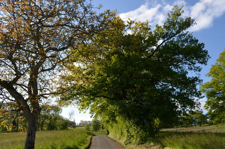 paysage de chez nous, DSC_00481