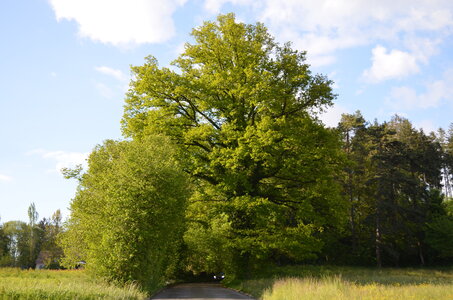 paysage de chez nous, DSC_00551