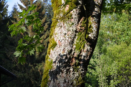 paysage de chez nous, DSC_00651