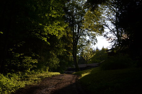 paysage de chez nous, DSC_00671