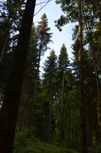 paysage de chez nous, DSC_00681