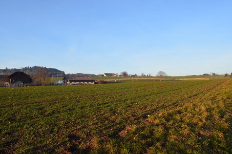 paysage de chez nous, DSC_0071