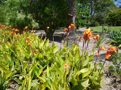 Australia 2013, P1000461