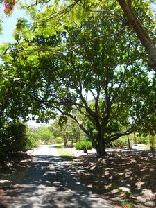 Australia 2013, P1000450