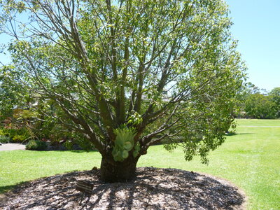 Australia 2013, P1000434