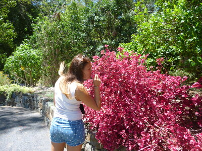 Australia 2013, P1000422