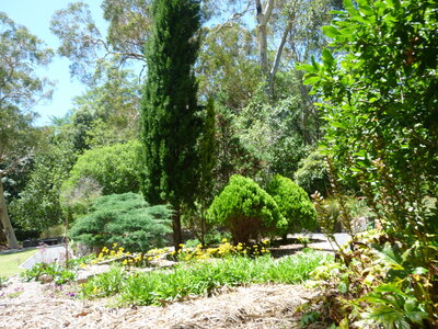 Australia 2013, P1000420