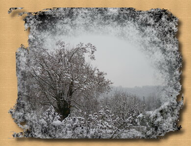 NOVEMBRE, P1040209 - Copie (2)