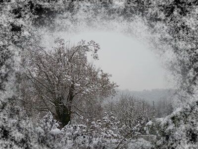 NOVEMBRE, P1040209