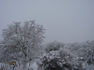 NOVEMBRE, P1040205