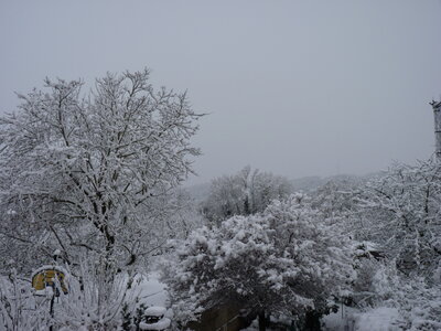 NOVEMBRE, P1040204