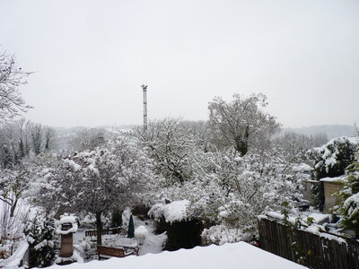 NOVEMBRE, P1040206
