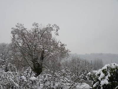 NOVEMBRE, P1040209 - Copie