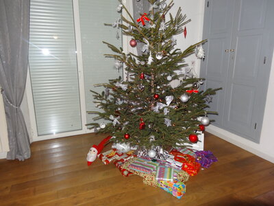 Noël 2013, DSC00626
