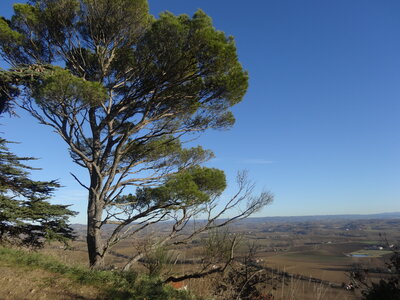 Noël 2013, DSC00728