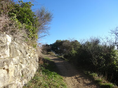 Noël 2013, DSC00725