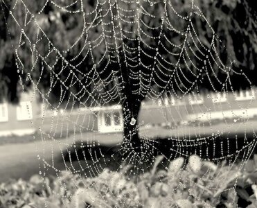 photos by hurbain, Nieuwe_afbeelding 4 