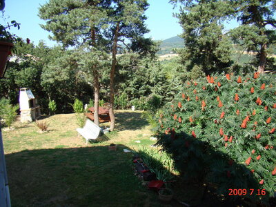 maison st jacques d'atticieux 07340 a vendre, barbecue