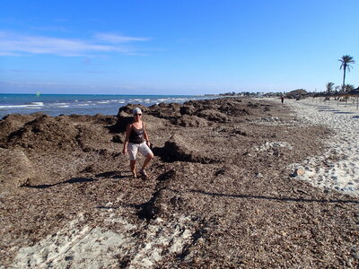 djerba 2014 partie 1, djerba 2014 0184