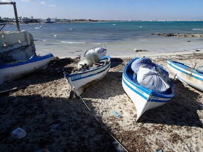 djerba 2014 partie 1, djerba 2014 0187