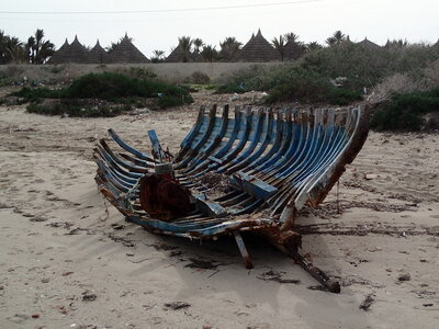 djerba 2014 partie 1, djerba 2014 0272