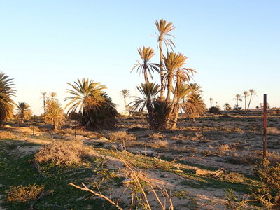 djerba 2014 partie 1, djerba 2014 0452