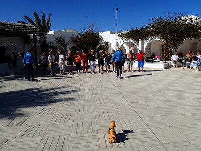 djerba 2014 partie 1, djerba 2014 0496