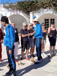 djerba 2014 partie 1, djerba 2014 0499