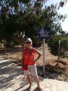 djerba janvier 2014 partie 2, djerba 2014 0729