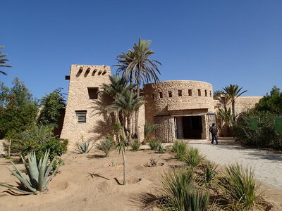 djerba janvier 2014 partie 2, djerba 2014 0732