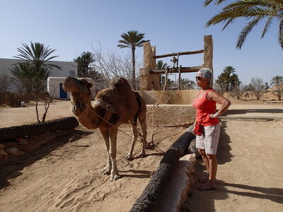 djerba janvier 2014 partie 2, djerba 2014 0830