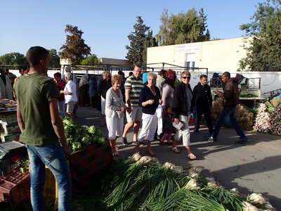 djerba janvier 2014 partie 2, djerba 2014 0918