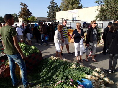 djerba janvier 2014 partie 2, djerba 2014 0919