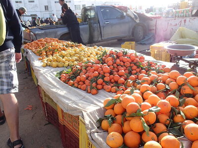 djerba janvier 2014 partie 2, djerba 2014 0922