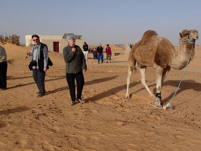djerba janvier 2014 partie 2, djerba 2014 1026
