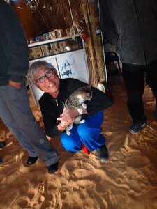 djerba janvier 2014 partie 2, djerba 2014 1044