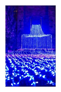 Illuminations de Noêl  A  RODEZ   22/12/13, 2013_12_RODEZ_Illumination_Noel-21_GF