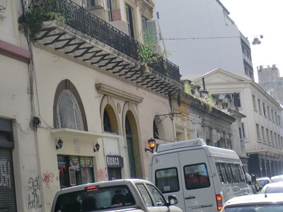 Argentine décembre 2013, Des plantes spontanées sur les balcons