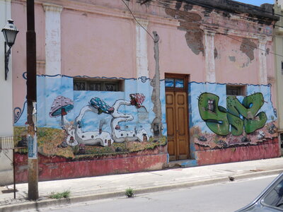 Argentine décembre 2013, Salta, peinture murale