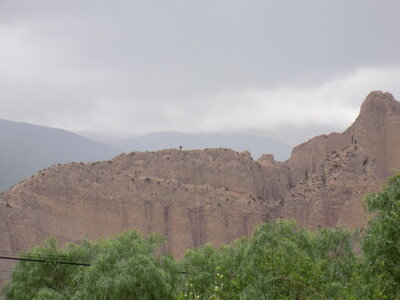 Argentine décembre 2013, Un cactus tout seul en haut de la montagne