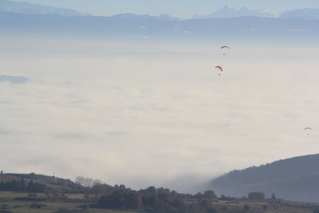 Coupe Hic-Poire, IMG_1950