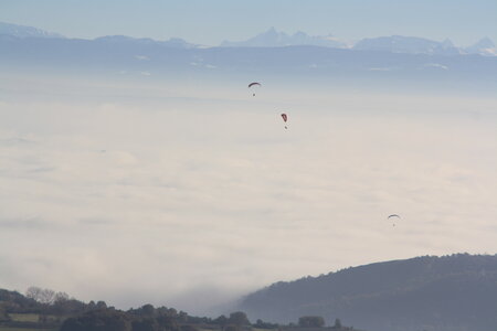 Coupe Hic-Poire, IMG_1951