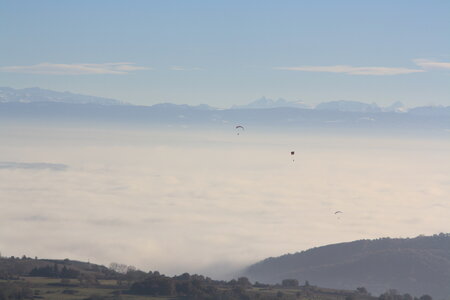 Coupe Hic-Poire, IMG_1952