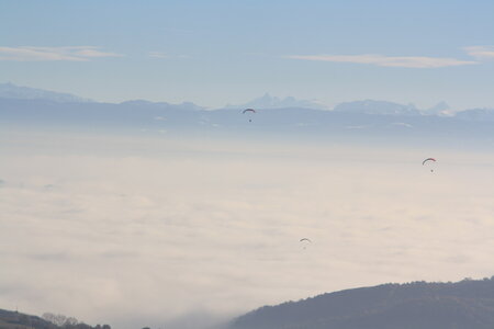 Coupe Hic-Poire, IMG_1954