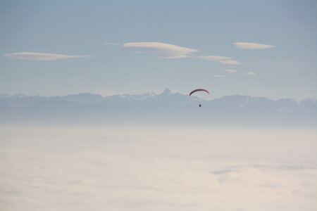 Coupe Hic-Poire, IMG_1956