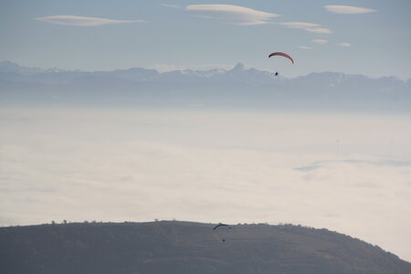 Coupe Hic-Poire, IMG_1957